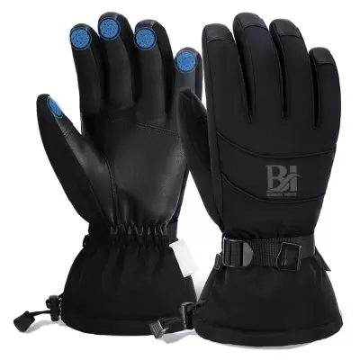 Snow Gloves